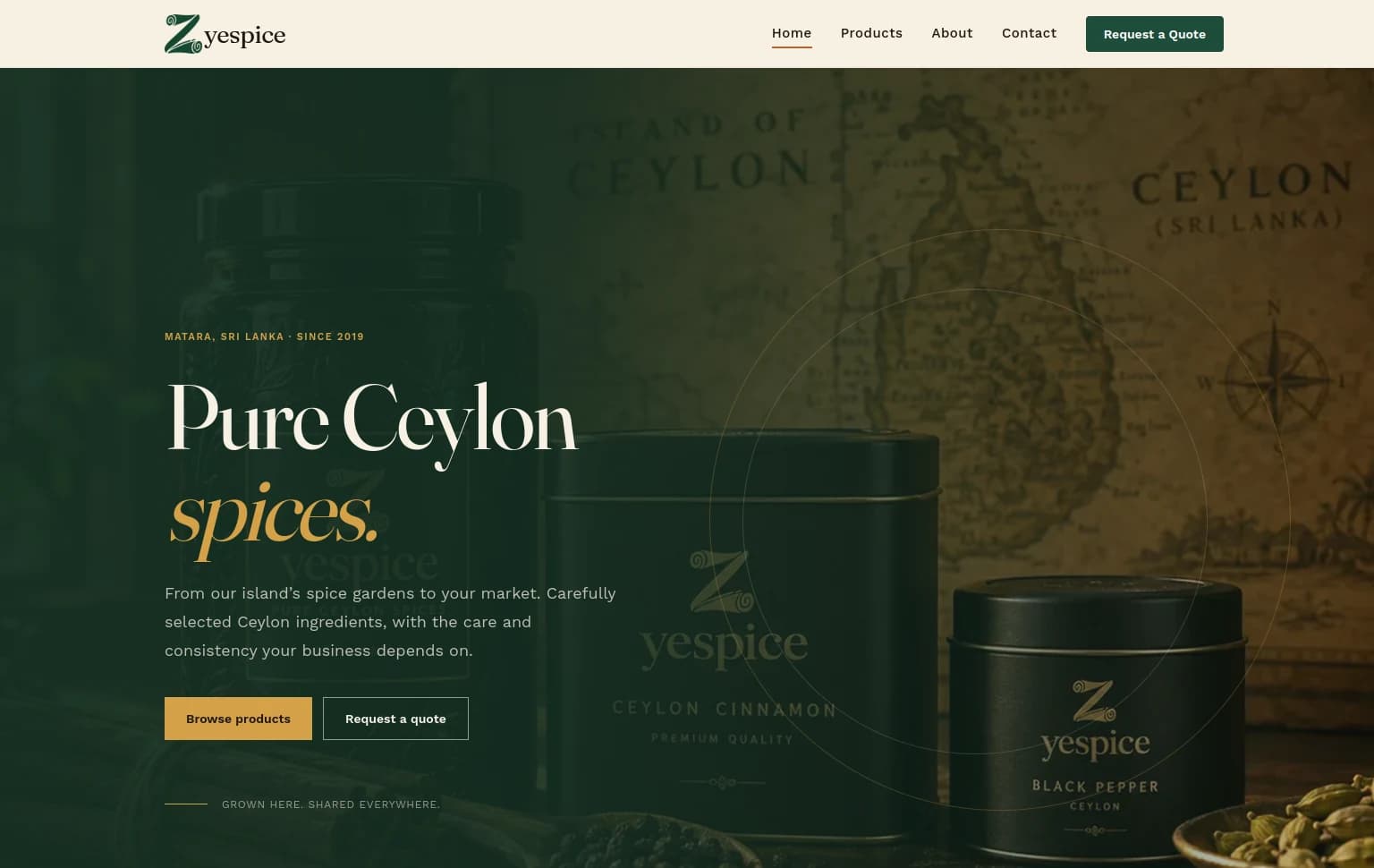 Zyespice website preview